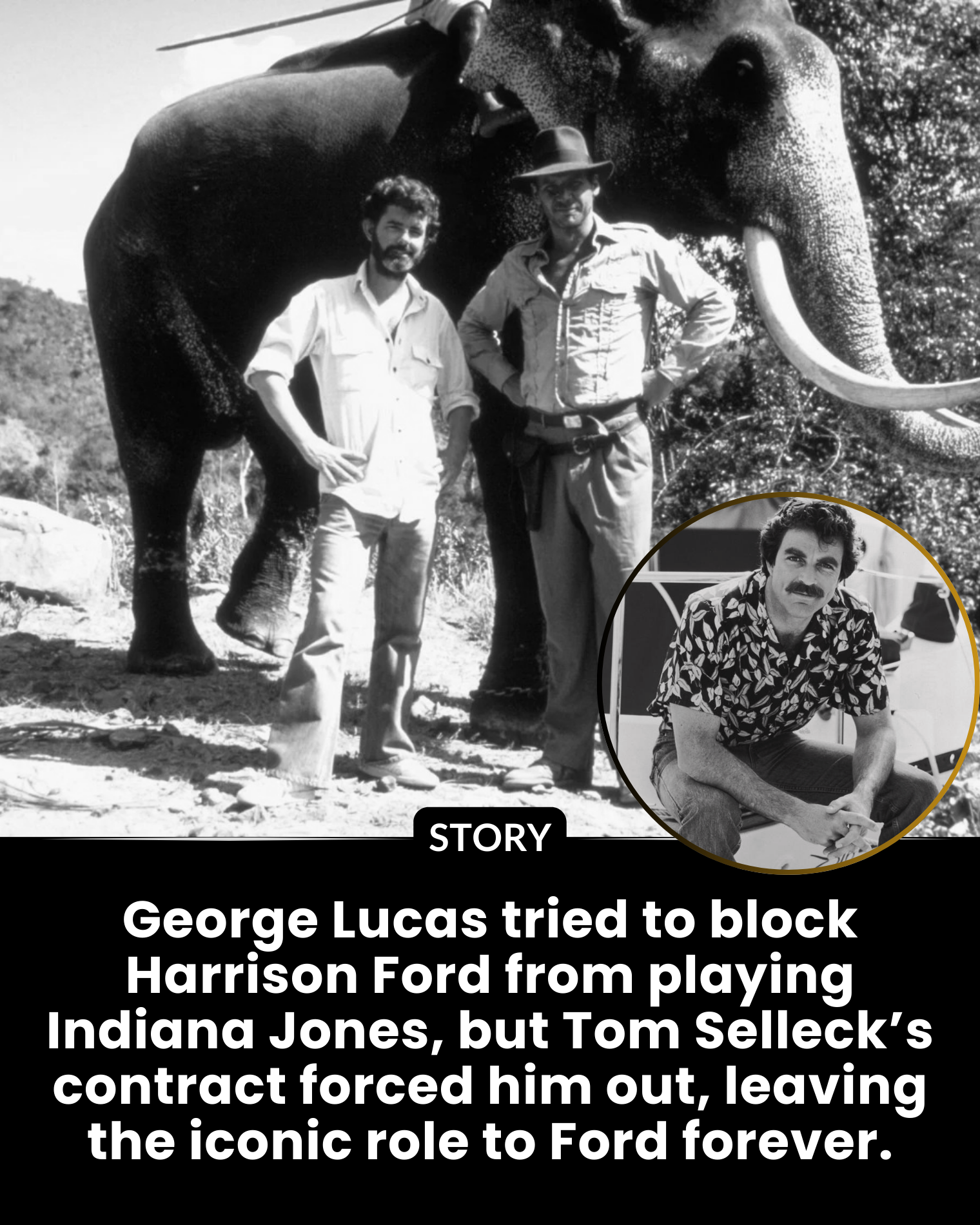 George Lucas tried to block Harrison Ford from playing Indiana Jones, but Tom Selleck’s contract forced him out, leaving the iconic role to Ford forever.